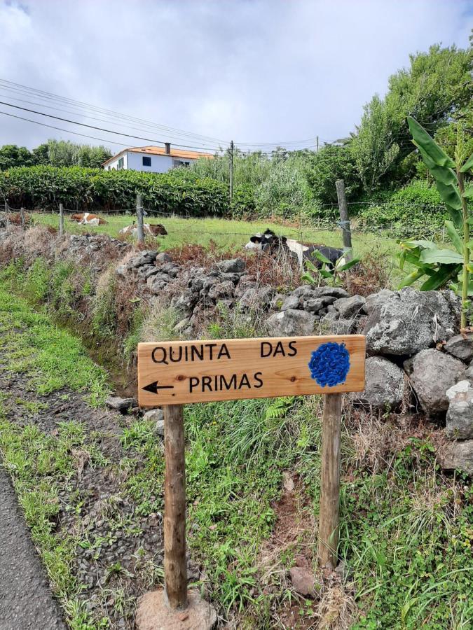 Quinta Das Primas Lomba  Buitenkant foto
