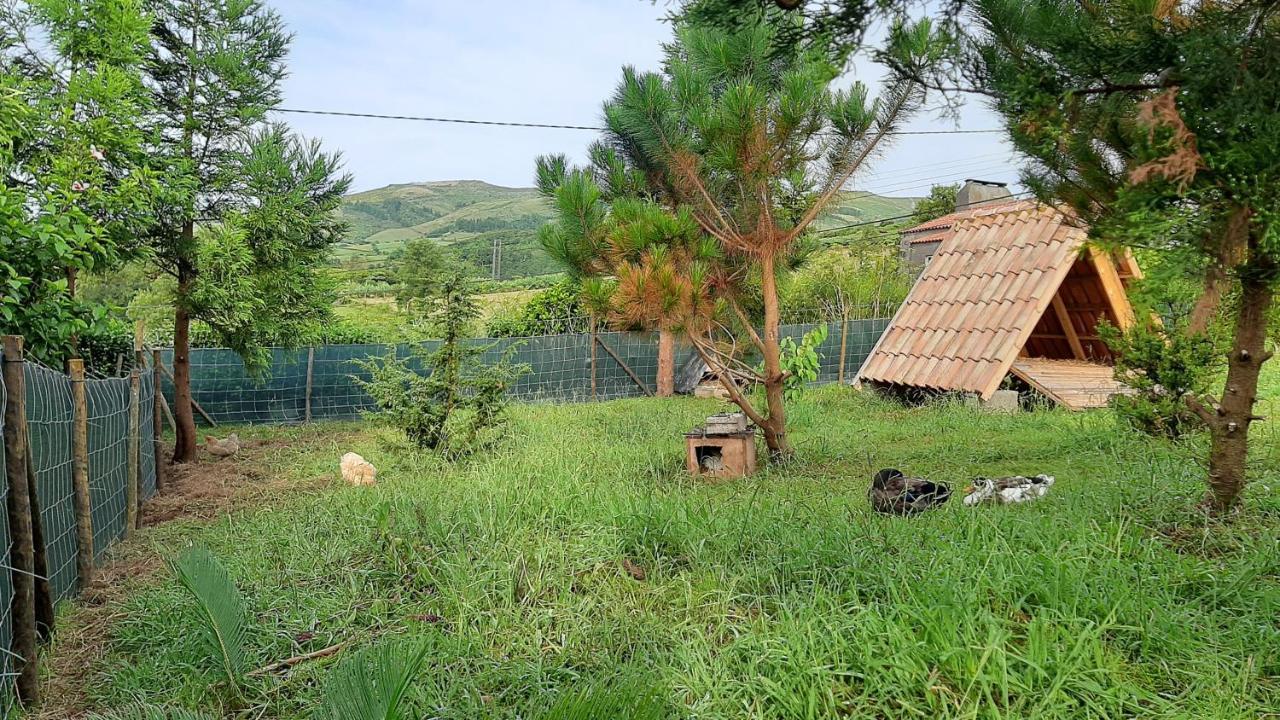 Quinta Das Primas Lomba  Buitenkant foto